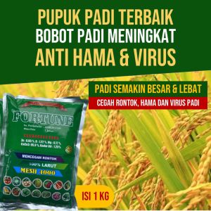 (PASTI UNTUNG) Pupuk Kalsium Padi FORTUNE isi 1 Kg Pembesar Bobot dan Pelebat Bulir dan Daun Padi - Pupuk Anakan Padi Anti Hama Penyakit Blast Kresek Hawar dan Bercak Daun Padi - Pupuk Tanaman Padi Terbaik 1 Kilo Harga Murah