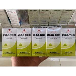DEXA TIÊM (100ml) hanvet kháng viêm chống phù nề dị ứng