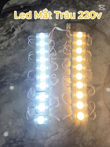 Led rọi mắt trâu 220v led hắt rọi lúp cao siêu sáng 1.5W 1 dây 10 bóng dài 1m1