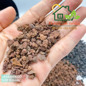 Túi 1kg đá nham thạch đỏ và đen (lava rock ) chuyên lọc hồ cá rải mặt chậu lót chậu giữ ẩm cung cấp dinh dưỡng