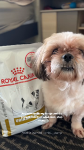 2kg Royal Canin Urinary Care SO Dry Dog Food Adult Dogs Pet Balanced Nutritious Healthy Daily Meal