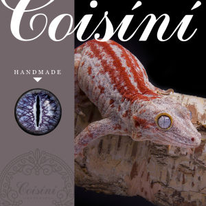 Phụ Kiện Búp Bê Thủ Công DIY Vải Lông Cừu Mô Phỏng Động Vật Thực Tế Lông Mắt Thủy Tinh Đồ Chơi Thủ Công Sáng Tạo Phụ Kiện