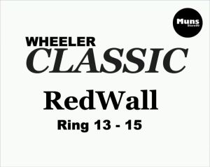 {\n    \"article\": \" Lis Ban Mobil White Wall Ban Mobil Velg Ring 12-16 Warna Putih Polos WHEELER Classic