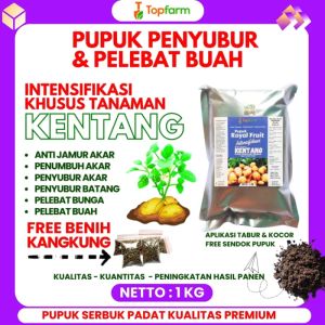 Pupuk Pembesar Khusus Umbi Kentang / Pupuk Umbi Kentang / Pupuk Pelebat Umbi Kentang / Pupuk Pembesar Umbi Kentang / Pupuk Buah Khusus Kentang