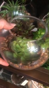 สวนโหลแก้ว ต้นไม้ปลอมมินิมอล กระถางแคคตัสปลอม