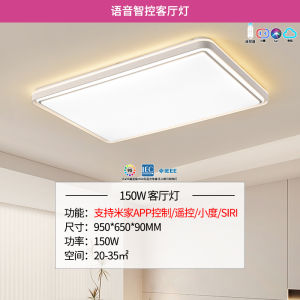 Modern Comfortable Living Room Ceiling Light Full House Package RaCeX 8351 Iron Acrylic Rectangle LED Ceiling Lamp for Bedroom Study Childrens Room