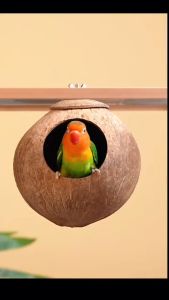 Coconut shell Bird nest Natural Coconut shell Bird house wood Lovebird cage house for parrot cockatiel