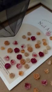 Hoa Hồng Nhựa Trang Trí Móng Set 50pcs Trang Trí Móng [DỤNG CỤ TRANG TRÍ NAIL]