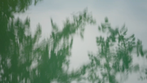 Bvya Eggshell Baby Carrier – Cocoon Ergonomic Design Full Back Support Comfortable Carry for Newborn to Infant