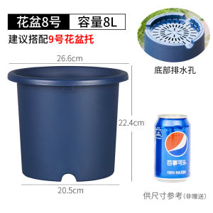 IRIS Deepot Flower Pot Plastic Gallon Basin Balcony Vegetable Planting Basin Tray Alice Flower Pot Succulent Orchid Chinese Rose