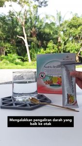 ALAVIE Nutrix-BrainActiv 15s 藻油花旗参健脑益智强记忆力防脑雾延缓大脑衰老营养饮 *Brain Booster Focus Minda DHA EPA*