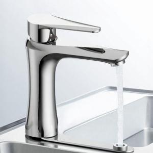 Pull-out Cold Hot Water Faucet Sink