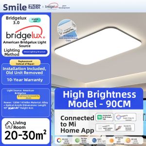 Smile | Minimalist Modern LED Protect Eye Ceiling Light