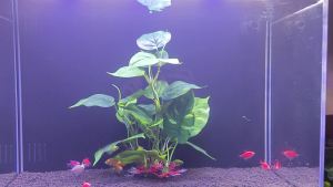 Artificial Aquarium Decor Plants Plastic Aquatic Plant with Large Green Leaves Underwater Plants Fish Tank Aquatic Plant Adorn