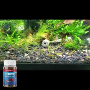 MIRAVEXL Color Enhancing Aquarium Shrimp Food Nutritional Sinking Pellets for Crayfish Crab Crystal Black Cherry Bottom Feeders