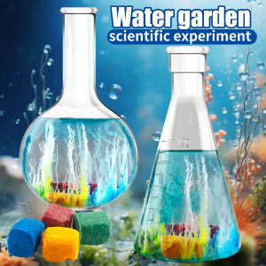 DIY Water Magic Mini Growth Stones Science Toys Christmas/Halloween/Thanksgiving/Easter/New Year Gifts