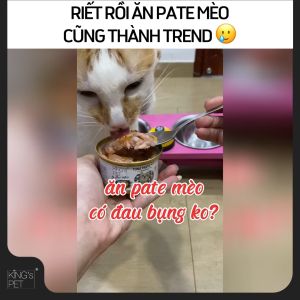 [DEAL HỜI PETÉ GOURMET] Pate Kings Pet by Bảo Anh 85gr Jelly Cao Cấp Topping Thật 100%