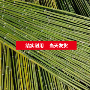 Bamboo Pole Vegetable Garden Rack Vegetable Cucumber Tomato Beans Rack Rod Bamboo Fence Fence Small Bamboo Thin Bamboo Pole Lattice