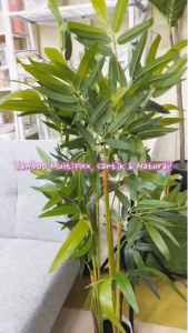 ⚡Sarang Hae Yo⚡ Bamboo Multiplex Tree / High Quality / Artificial Plant / Pokok Buluh / Hiasan Rumah / Home Decor / Pokok Hiasan