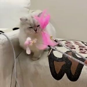 Cat Funny Stick Cat Wand Teaser Stick Feather with Small Bell Toy 40cm