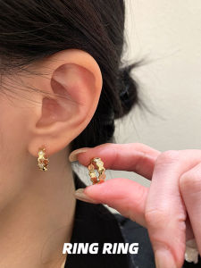 Golden Earrings Silver Needle Female Style Fresh out Fashion Jewelry Hoops Studs Clip Earrings Sweet Geometric Alloy Ear Jewelry