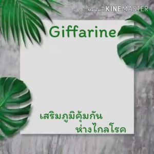 ลดกระน่ำ #ฟลาโวกลูแคน #ภูมิแพ้ #ภูมิคุ้มกัน #กิฟฟารีน Flavo Glucan  เบต้า กลูแคนจากยีสต์ ผสมสารสกัดจากเห็ด #อาหารเสริมเพื่อสุขภาพ