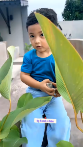 KAZEL ZEBE TSHIRT BORDIR ANAK SPORT EDITION (1Pcs) 6Bulan-12Tahun