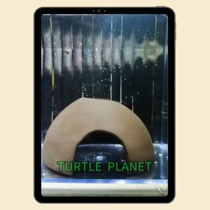 (Part 2) Ceramic Aquarium Decoration Shrimp Hiding Spot Ornament Fish Tank Ceramic Decor Aquarium Ornament Hiasan Tangki