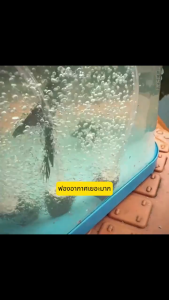 ปั๊มออกซิเจน ออกซิเจนปลา ปั้มออกซิเจนตู้ปลา โซล่าเซลล์ ใช้งานได้ยาวนาน90ชั่วโมง อ็อกซิเจนพกพา รูคู่ เครื่องออกซิเจน เหมาะสำหรับตกปลากลางแจ้ง สำหรับฉุกเฉินไฟดับ หัวชาร์จ USB ออกซิเจนตู้ปลา ปั้มลมขนาดเล็ก【COD】