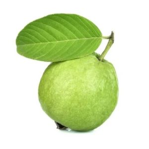 REPLIKA BUAH JAMBU (1PCS)/ BUAH JAMBU / DUMMY BUAH / BUAH MAINAN / BUAH ETALASE / BUAH PAJANGAN / BUAH HIASAN