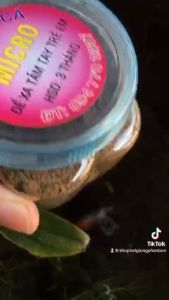 1Kg Cám Bột Mịn Thức Ăn Dinh Dưỡng Cho Cá CON Mới Đẻ Cá Đang Lớn (7 Màu Betta Dumbo Guppy Tép Kiểng) mồi trộn để câu cá