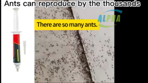 Best Ant Killer Gel for House Kitchen Toilet | Ant Bait Attracts Ants to Eat Naturally | Ant Killer Kills Ants Up to the Colony Nest | Ant Repellent Long-Lasting Ant Repellent Without Smell