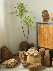 Đá Trang Trí Giả Đá Phong Cách Zen