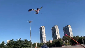 Mainan Layangan Kartun Anak dengan Joran & Benang Ringan & Mudah Diterbangkan panjang jor an 43 cm