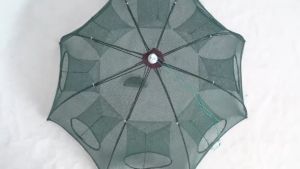 ปลาติดเยอะ 2 ปัจจุบัน มุ้งดักปลา มุ้งดักกู้ง 10 ชุดปลา ตาข่ายดักปลา ชุดตาข่ายดักกู้ง ชุดที่ดักปลา ชุดดักปลาในบ่อ ชุดหลายขนาด