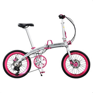 Raleigh | Portable Speed Changing Bicycle