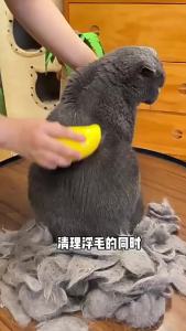 Nexlent Pet Comb Steam Spray Massage Hair Combs Massages and Cleanses Brush for Dog Cat