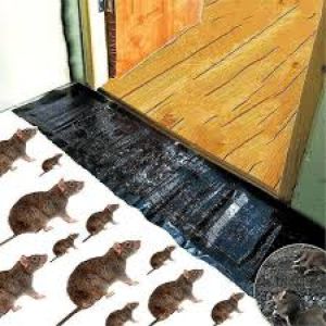 [120x28cm] Sticky Rat Stickers Mouse Trap Catch The Rat Pest Control Pelekat Tikus 粘鼠毯 强力老鼠贴