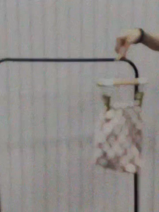 Quần Sort Caro Tamiuy Năng Động Cho Bé Gái (1-10 Tuổi)