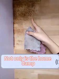Efficient Mold Removal Spray - High-Efficiency Anti-Mold & Mildew Cleaner for Wood/Wall/Floor/Wallpaper 99% Disinfectant Safe Formula