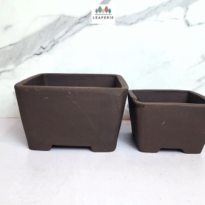 The Leaferie Reimi Bonsai (Series 3) square plant pot flowerpot flower pot planter planters