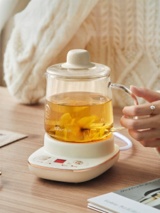 「China Plug」Bear | Mini Tea Brewing Kettle