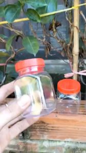 Hủ Nhựa Duy Tân Đựng Gia Vị Vuông Nắp Đỏ - Lọ Nhựa Đựng Muối Tôm 135ml190ml230ml 1