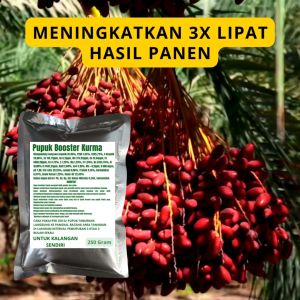 Pupuk Booster Kurma / Obat Booster Buah Kurma / Pupuk Booster Buah Kurma / Pupuk Buah Kurma