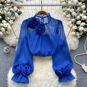 Áo Sơ Mi Nữ Tay Dài Kiểu Pháp Họa Tiết Hoa Tay Bồng Màu Trơn Phong Cách Công Sở Thường Ngày Mùa Đông Dáng Rộng