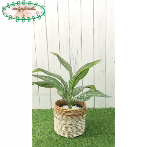 Pohon Artificial Daun Hias Keladi X9 Cover Pot Seagrass Coklat Mini Hiasan Meja Tamu Meja Kantor Aesthetic