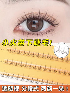 Cuối Cùng Trụ 3 Hàng Lông Mi Dưới Ngọn Lửa Nhỏ Mặt Cắt Tự Nhiên Cụm Đơn Quỷ Thân Trong Suốt Lông Mi Giả