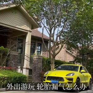 Comprehensive Guide to Car Air Pumps & Wireless Tire Inflatators