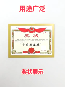 A4/A5/A6/A3 Magnetic Picture Frame Photo Certificate Framework Wall Sticker Photo Office Adhesive Wall Frame