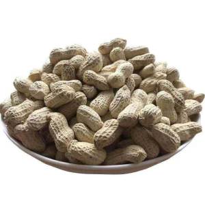 Đậu Phộng Nướng Ẩm Mặn Vị Tỏi
